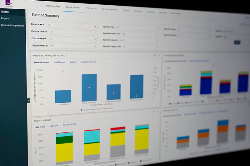 DataGen summary charts' screenshot